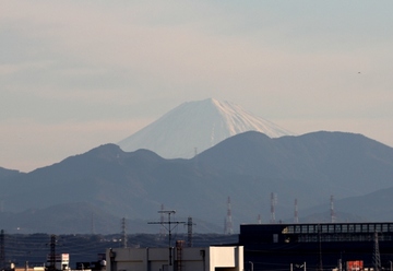Fuji 11.15.jpg